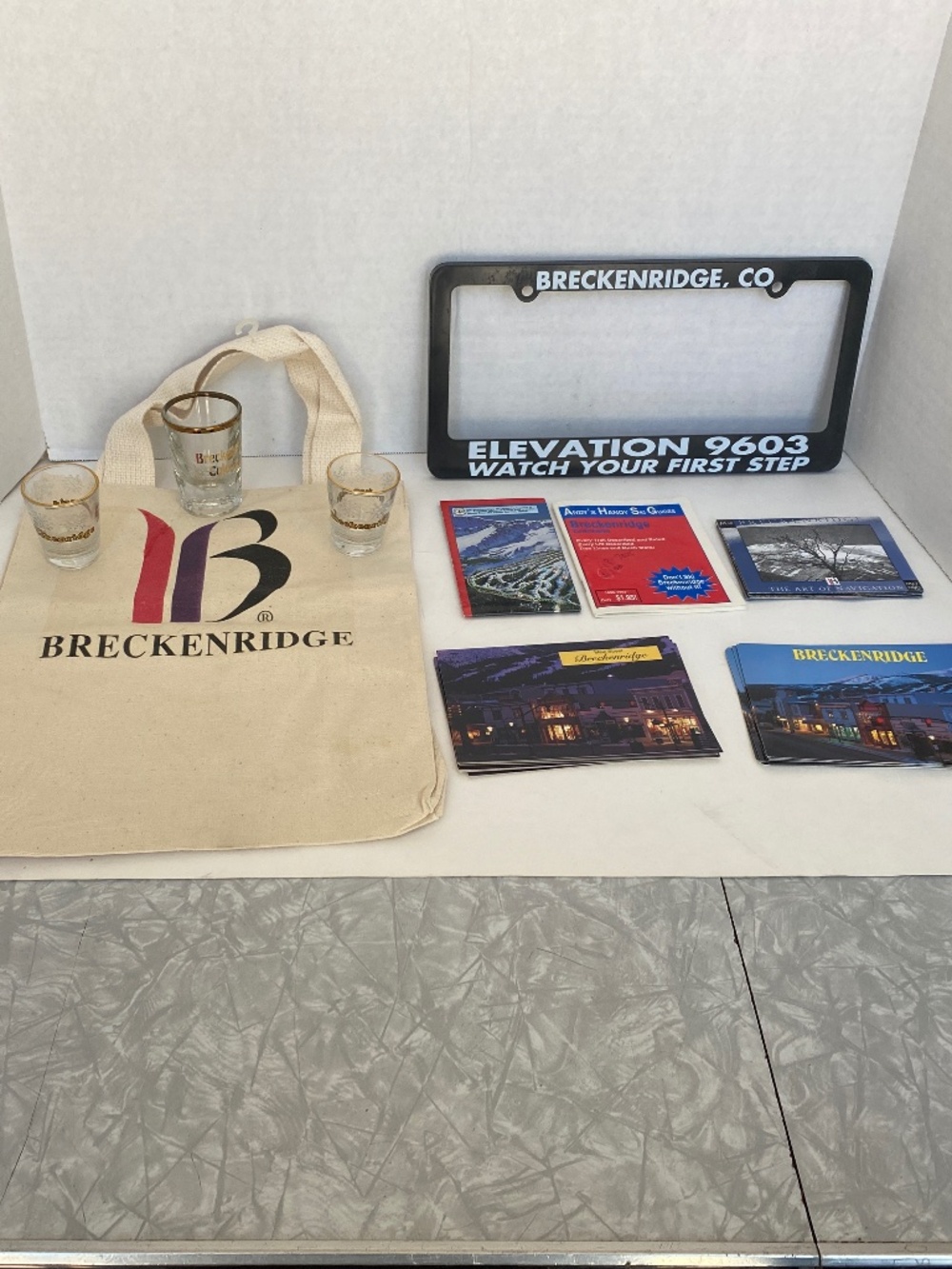Breckenridge, CO Collectibles, New!